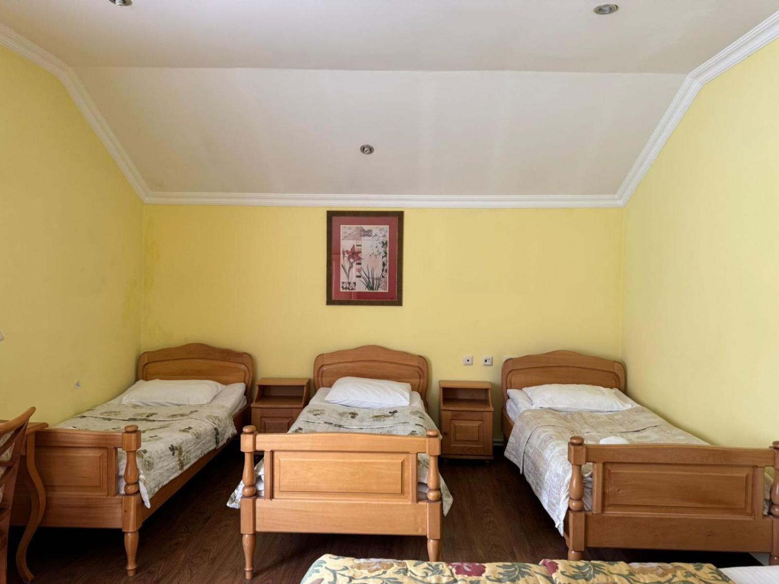 Hotel Lileo Mestia Extérieur photo